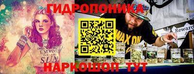 гидропоника Новозыбков