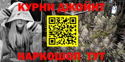гидропоника Новозыбков